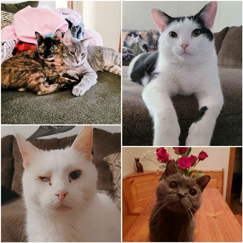 Please be aware when buying from me! 😊